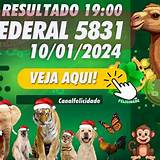jogo do bicho federal crazy time live